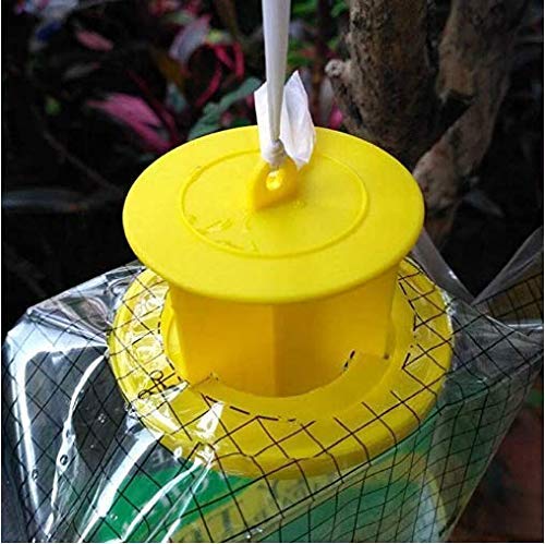 COOTA - Bolsas de trampa para moscas desechables para jardín al aire libre, solo tienes que añadir agua para colgar, gran capacidad (6 unidades)