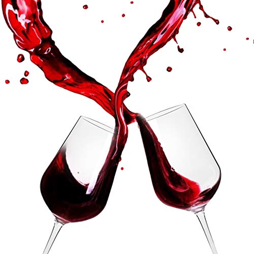 Copas de Vino, Juego de 6 Copas de Vino Tinto（Capacidad: 50.5 cl）， Copas de Vino Blanco con un Tallo Largo para una cumpleaños, Aniversarios, Navidad 505ML