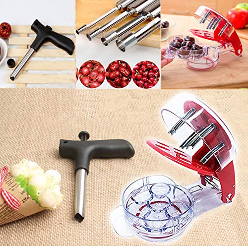 Coralpearl Deshuesador Cerezas Aceituna,Cherry Olive Stoner Pitter, Coco Abridor Cuchillo Herramienta,Vide-pomme Remover,Descorazonador Manzana,Deshuesador de Núcleo,Removedor de Semilla de Fruta (6)