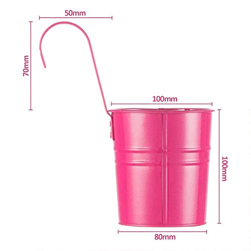 Cozywind 10pcs Macetas Colgantes de Colores, Metálicos Maceteros Exterior para Plantar Pequeñas Plantas, Decoración Jardin Balcón Terraza