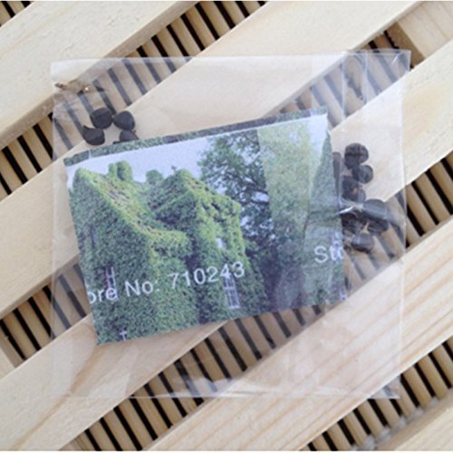 Crecerá 40 unids/bolsa Semillas de hiedra Semillas de enredadera Verde Anti-radiación plantas de ramos de rayos ultravioleta bonsai plantas trepadoras para el hogar y las plántulas de jardín Tigre