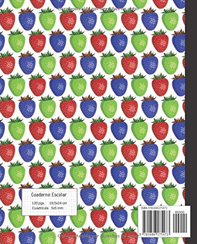 CUADERNO ESCOLAR: Cuaderno de hoja cuadriculada DIAMOND |  Tamaño especial para la mochila o cartera del colegio  | 120 páginas de cuadrícula de Papel ... calidad | Bonito diseño - fresas de colores.