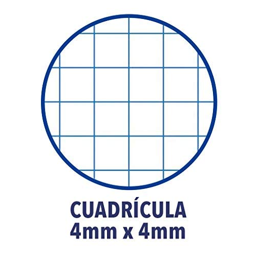 Cuadernos Folio(A4) Enri. Pack de 10 unidades. Tapa blanda. Cuadrícula 4x4. Colores aleatorios.