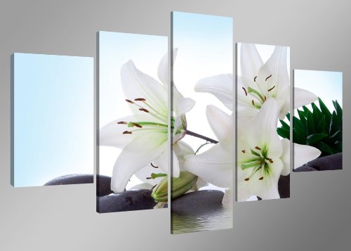 Cuadros en Lienzo Flores 160 x 80 cm Modelo Nr. 5504 XXL Las imágenes Estan Listas, enmarcadas en Marcos de Madera auténtica. El diseño de la impresión artística como un Mural Enmarcado.