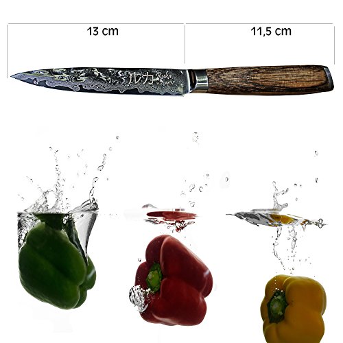 Cuchillo de acero inoxidable Damasco 13cm, aspecto martillado, acero japonés VG-10 afilado 67 capas, cuchillo damasco con mango ergonómico