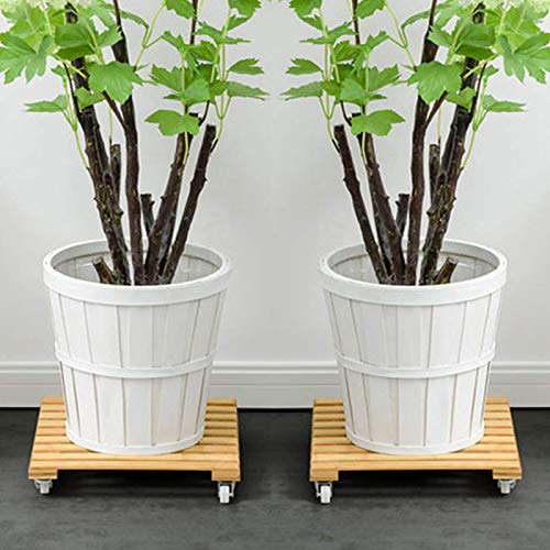 CUHAWUDBA Bandeja para Plantas de Cuatro Ruedas Mover Macetas para JardíN Interior y Exterior JardíN Transplantador de Arroz Portacarretes Rueda de Carretilla Bandeja (2 Piezas/una + B)