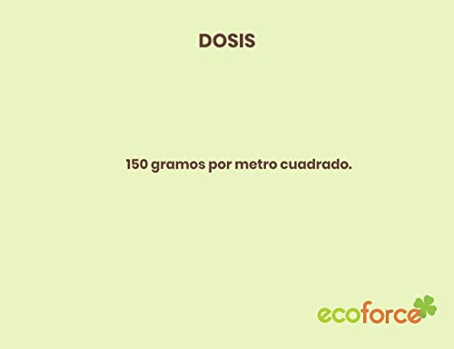 CULTIVERS Force Stone Harina de Roca (polvo de basalto). Fertilizante Ecológico a base de Silicio que aporta Microelementos para todo tipo de plantas (5 Kg)