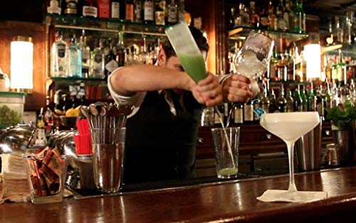 CURSO DE BARTENDER (Portuguese Edition)