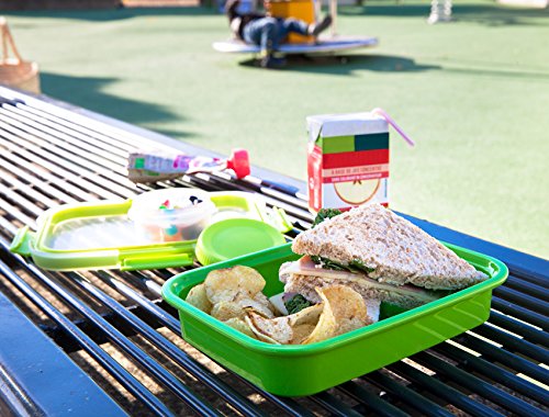 Curver - hermético para Sandwich Smart To Go 0,7L. - Apto para Microondas, Lavavajillas y Congelador - Color Verde Lima