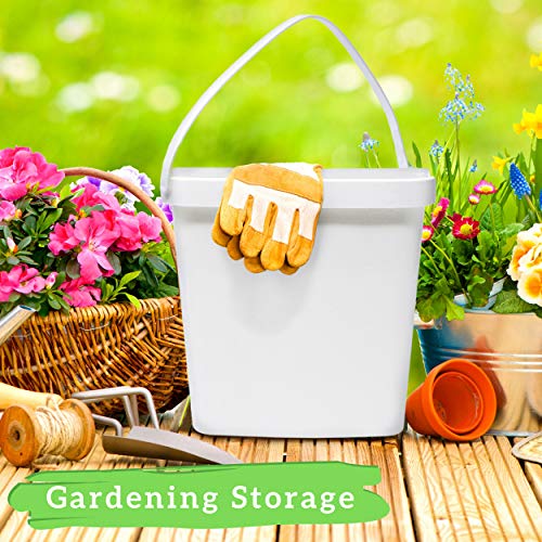 D' Luxy Pack 10 Cubos de Polipropileno Alimentario, 2,5 L (18x16cm). Reciclables, 100% Libres de BPA.