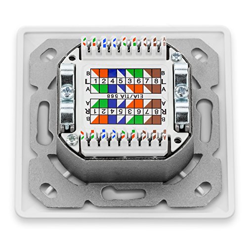 deleyCON 2X Cat 6 Universal Socket de Red - 2X Puerto RJ45 - Blindado - Superficie o Rasante - 1 Gigabit Ethernet Red - EIA/Tia 568A&B - Blanco