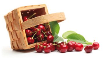 Deshuesador de cerezas PROFESIONAL