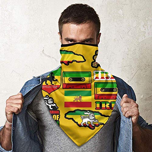DFGHG Protección de Seguridad, protección Facial, paño Lavable, Toalla Facial Rastafarian Lion Low Poly Lion King Gaiter Half Sun Dust Protection Tube Cover Bandana Motorcycle Fishing Hunting Cycl