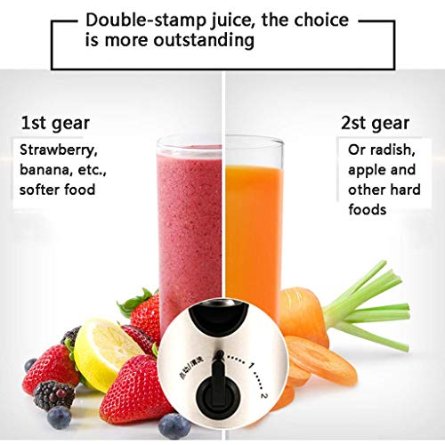 DHTOMC Acero Inoxidable de Gran diámetro de Exprimidor, Hogar eléctrico automático de múltiples Funciones del Jugo de la máquina - Jugo Negro Anti-Goteo, Doble Fila Xping