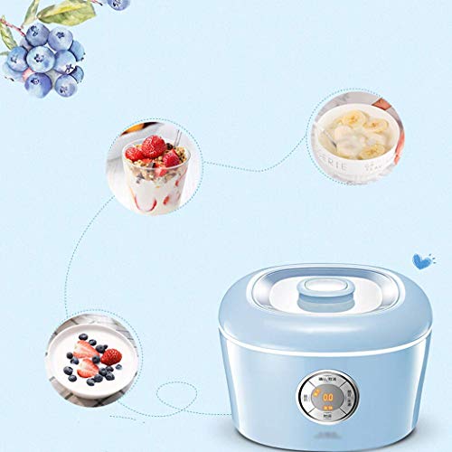 DHTOMC Yogur hogar máquina, Mini automático de Natto Máquina/Casera Antiguo Yogur Vino de arroz de Acero Inoxidable + Delineador de cerámica 6 Minutos Copa Inteligente Versión Xping