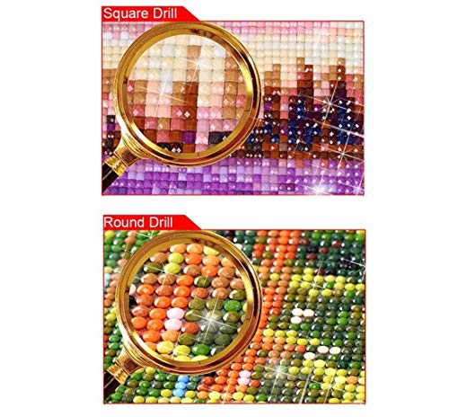 Diamond Painting Cerveza De Baño by Number Kits Artesanía Artística Mosaico Full Diamond For Home Decor 5D DIY Rhinestone Bordado Cross Stitch,55X70Cm,Taladro Cuadrado