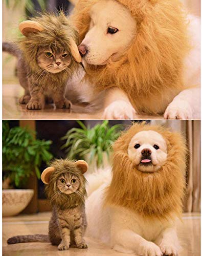 Disfraz de Halloween para mascotas, sombrero de melena de león para gatitos cachorros perros ajustable lavable cómodo pelo de león Halloween Navidad fiesta de Pascua actividad