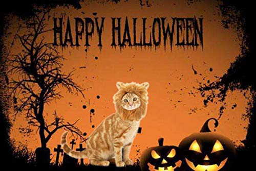 Disfraz de Halloween para mascotas, sombrero de melena de león para gatitos cachorros perros ajustable lavable cómodo pelo de león Halloween Navidad fiesta de Pascua actividad