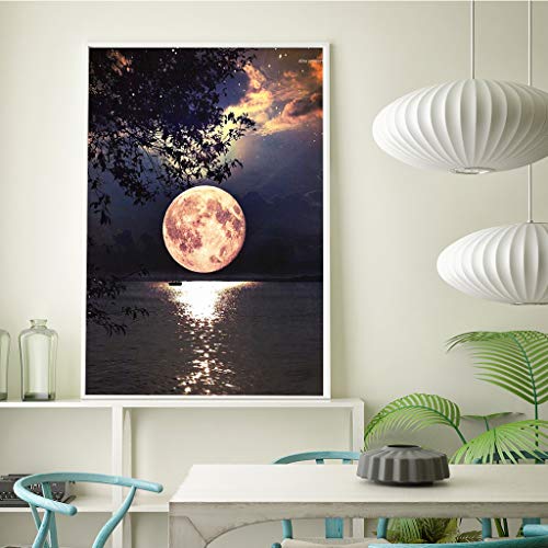 DIY 5D Kit de pintura de diamantes por número, 5d cuadros con diamantes mono lindo,bordado punto de cruz kits de suministro de arte manualidades lienzo decoración de pared pegatinas hogar 30 x 40 cm