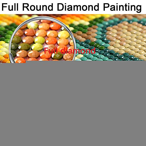 DIY 5D pintura de diamante Kit por Número Pollo Asado De Gallina Imagen Diamond painting bordado Cristal rhinestone punto de cruz adultos Lienzo arte para sala decoración la pared del hogar 25x30cm