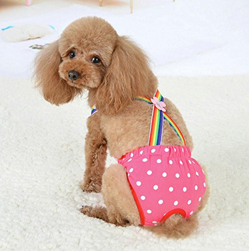Diyafas Puntos Perros Higiene Pantalones Sanitarios Menstruales Bragas Fisiológico del Pañal
