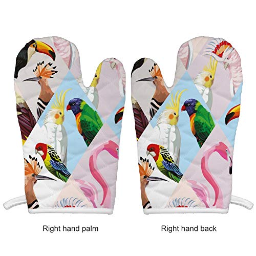 Dnwha Patchwork Tropical Birds - Manoplas para horno (fondo multicolor), guantes de cocina profesionales resistentes al calor, incluye guantes aislantes + almohadilla cuadrada aislante