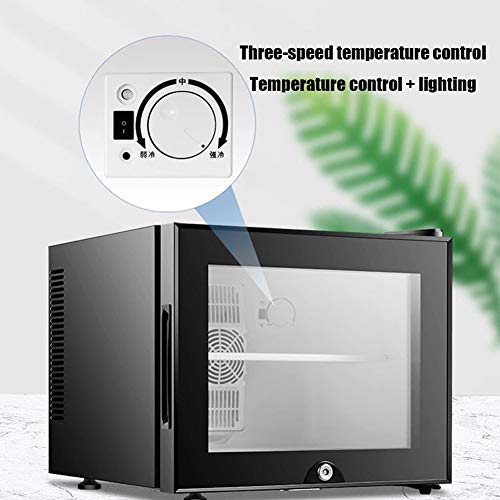 DORALO Minibar Refrigerador, Nevera De 20 litros De Capacidad, Congelador con Puerta De Vidrio con Cerradura, Refrigerador Pequeño De Funcionamiento Silencioso, Fácil De Limpiar, Negro