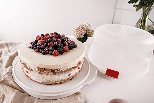 Dr. Oetker 1013 y Transportar Tartas Cool Box