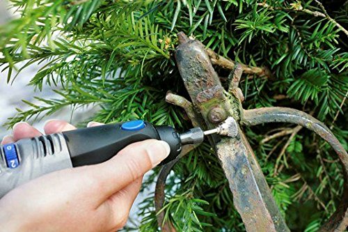 Dremel 442 EZ Speedclic - Cepillo de acero al carbono, Accesorio para herramientas rotativas, Diámetro de trabajo 13 mm, 15.000 RPM máximas