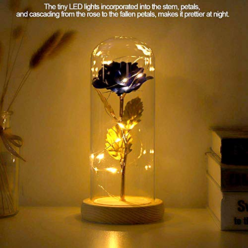 Duokon Luz LED de Flor de Rosa conservada con Cubierta de Vidrio y Base de Madera para el cumpleaños de Valentines'Day Cumpleaños de Navidad Aniversario (Azul)