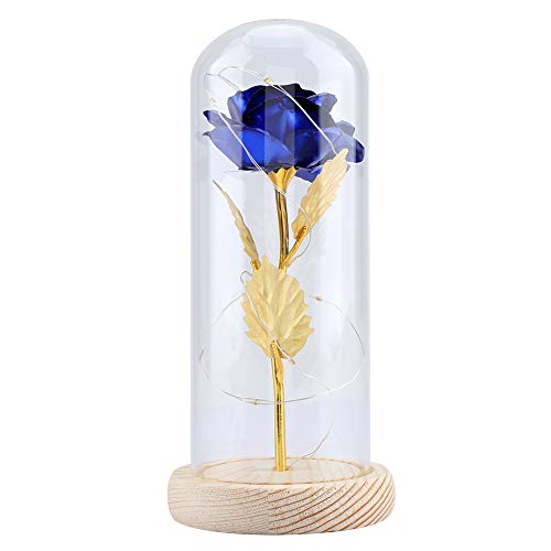 Duokon Luz LED de Flor de Rosa conservada con Cubierta de Vidrio y Base de Madera para el cumpleaños de Valentines'Day Cumpleaños de Navidad Aniversario (Azul)