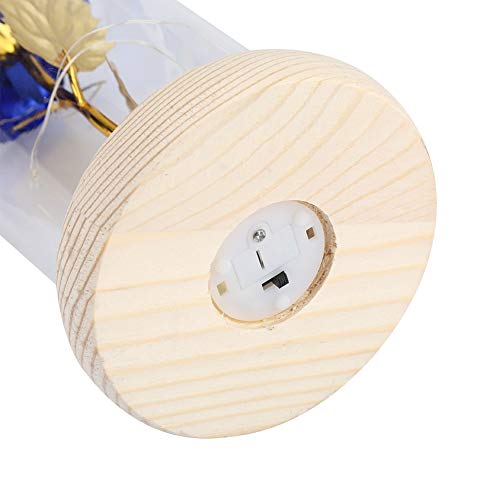 Duokon Luz LED de Flor de Rosa conservada con Cubierta de Vidrio y Base de Madera para el cumpleaños de Valentines'Day Cumpleaños de Navidad Aniversario (Azul)