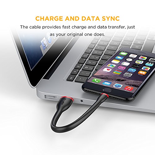 EasyAcc Cable iPhone [Certificado MFi C94] 0.5 Pies Duradero Cable de Carga iPhone Lightning USB Compatible con iPhone 11, XS MAX XS XR,X 8/8 Plus,7/7plus,6s/6sPlus, 5s/5, iPad-Negro