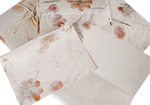 Eco-petal Sobre Con Papel de Notas Dl Regular Mezcla Floral - Pack de 6 (22cm x 12cm)