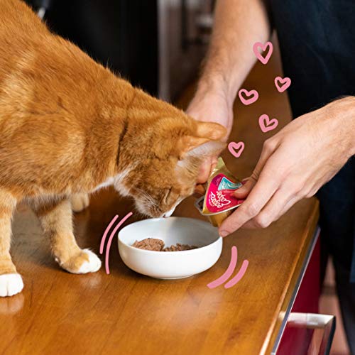 Edgard & Cooper Comida humeda Gatos Kitten sin Cereales, Natural con Pollo Fresco y Truchas con certificación ASC. Comida Sana Rica en nutrientes y antioxidantes Naturales. Pack tarrinas de 19x85gr