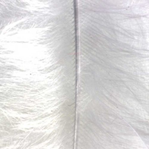efco – Marabú Plumas, Color Blanco, 100 – 120 mm, 2 g, 20 Piezas