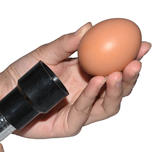 Ei Candler alta intensidad batería Alimentado por linterna Tester para schraffur Aves Huevos (Color aleatorio)