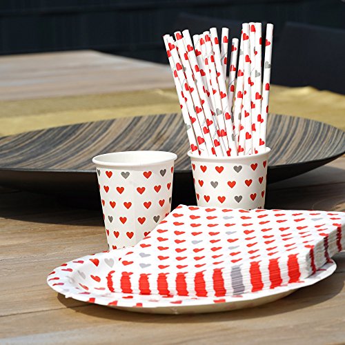 EinsSein 1x Vajilla Desechable de Papel Boda Corazón 50 pajillas 40 Platos 40 Vasos 50 servilletas de Papel 180 Piezas Desechables Bodas vajilla Bautizo Fiesta Desechables cumpleaños y Vasos para