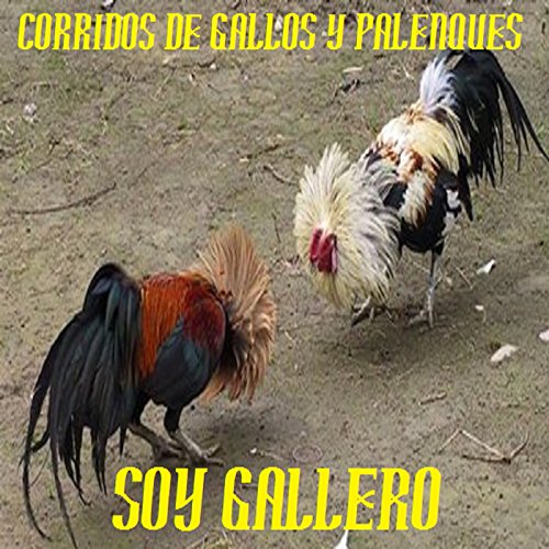el gallo de patas verdes