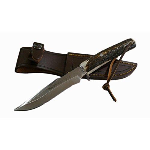 Electropolis Cuchillo de Caza Muela Pointer POINTER-13A, puño de asta de Ciervo y Defensa latón, Hoja MOVA de 13 cm + Tarjeta Multiusos de Regalo