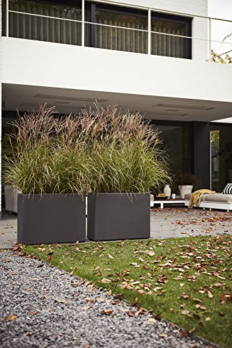 Elho Pure Soft Brick Divider Macetero con Ruedas, Anthracite, 78x29x58 cm