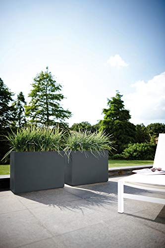 Elho Pure Soft Brick Divider Macetero con Ruedas, Anthracite, 78x29x58 cm