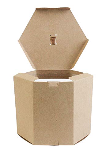 Emartbuy Bolsa de Regalo Hexagonal Papel Fuerte Levántate, 10 cm x 10 cm x 12 cm, Bolso Kraft Marrón Caja de Magdalenas Galletas Mollete Tarta Con Ventana Transparente y Cinta - Paquete de 24