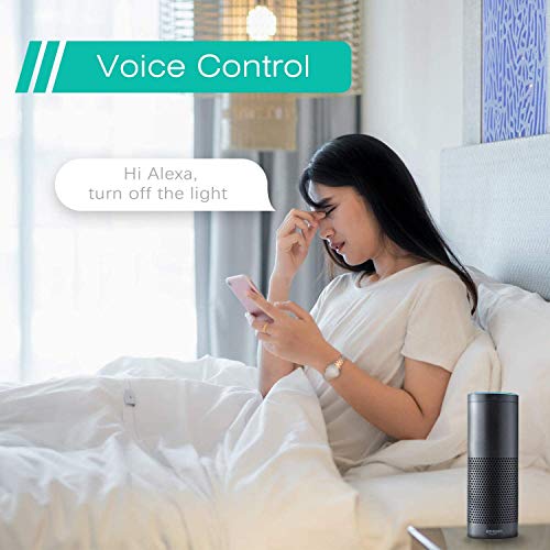 Enchufe inteligente con Wi-Fi, 16A 3680W, Compatible con Alexa y Google Assistant, con Aplicación de Control Remoto para iOS y Android, Wi-Fi Smart Plug, Paquete de 2.