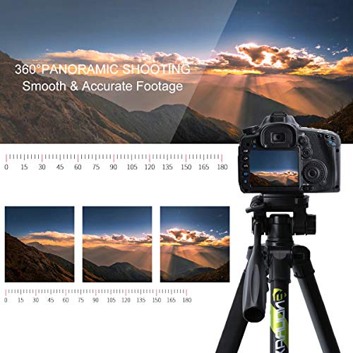 Endurax 167 cm/66 inches Trípode de cámara de vídeo para Canon Nikon Aluminio ligero Soporte de cámara DSLR de viaje con soporte universal para teléfono y bolsa de transporte de Endurax