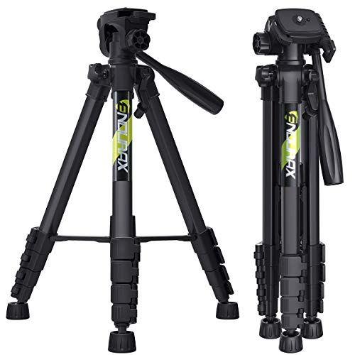 Endurax 167 cm/66 inches Trípode de cámara de vídeo para Canon Nikon Aluminio ligero Soporte de cámara DSLR de viaje con soporte universal para teléfono y bolsa de transporte de Endurax