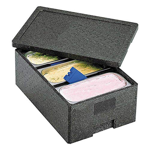 EPP - Caja térmica para 3 contenedores de hielo, 600 x 400 x 260 mm