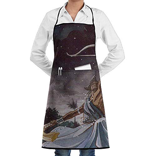 Eriesy Delantal de Chef,Delantal de Cocina,Indian Arrow Aprons For Women/Men Black Barbecue Waist Attitude Chef Apron