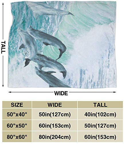 Etryrt Manta, Luxury Velvety Plush Micro-Velour Ultra-Soft Blanket Beautiful Landscapes Lightweight All-Season Anti-Static for Fleece Throw Sofa Couch Bed 80"x60"