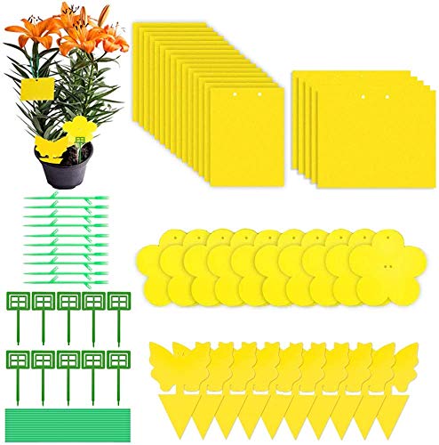 Evance 80 Piezas Trampas de Mosca Pegajosas de Doble Cara Amarillas para Insectos de Planta, Trampas Adhesivas Dobles(Amarilla)